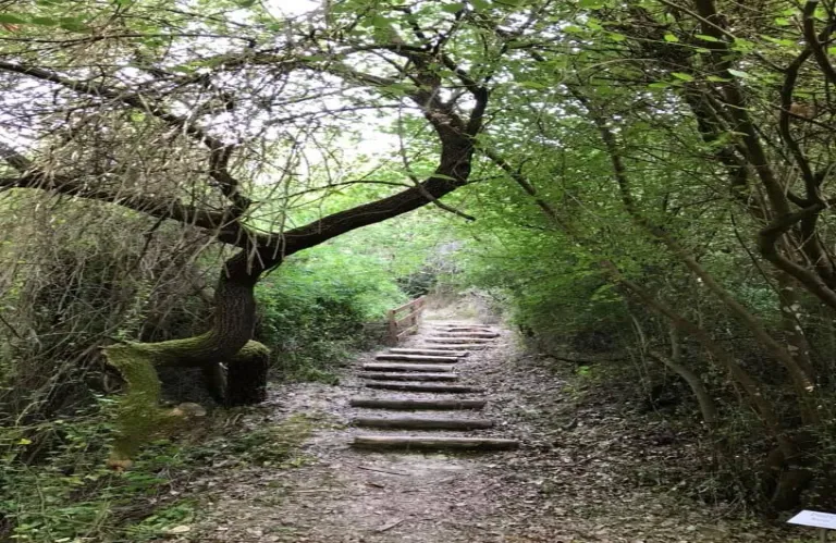 To τελευταίο νεαρό ζευγάρι έφυγε από την Μηλιού πριν 15 χρόνια  σύμφωνα με την κοινοτάρχη Εύα Χρυσάνθου