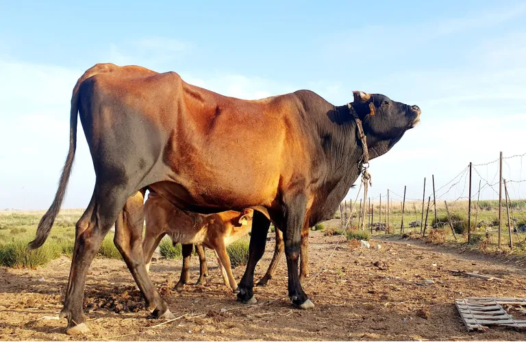 Πρώτη προβολή του ντοκιμαντέρ «Ο Κόσμος Μικραίνει»