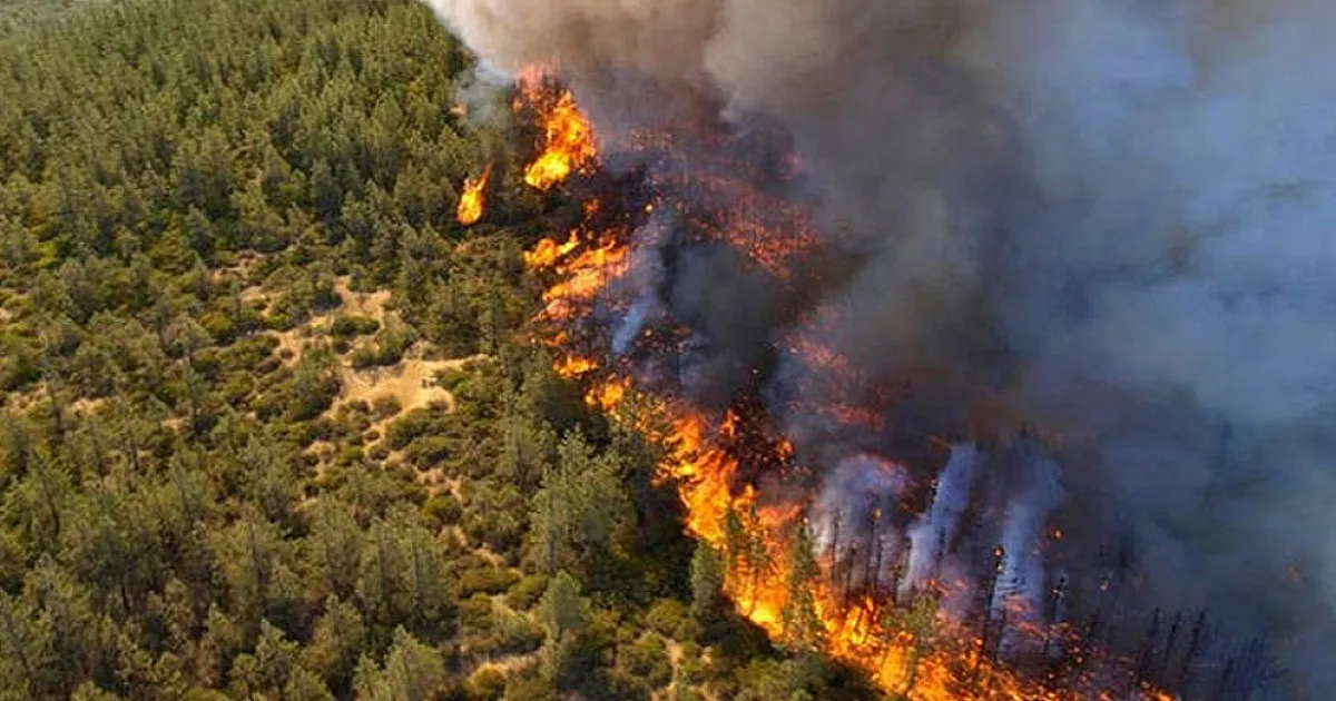 Europe’s Wildfire Crisis Deepens as Greece and Cyprus Face Intensifying ...