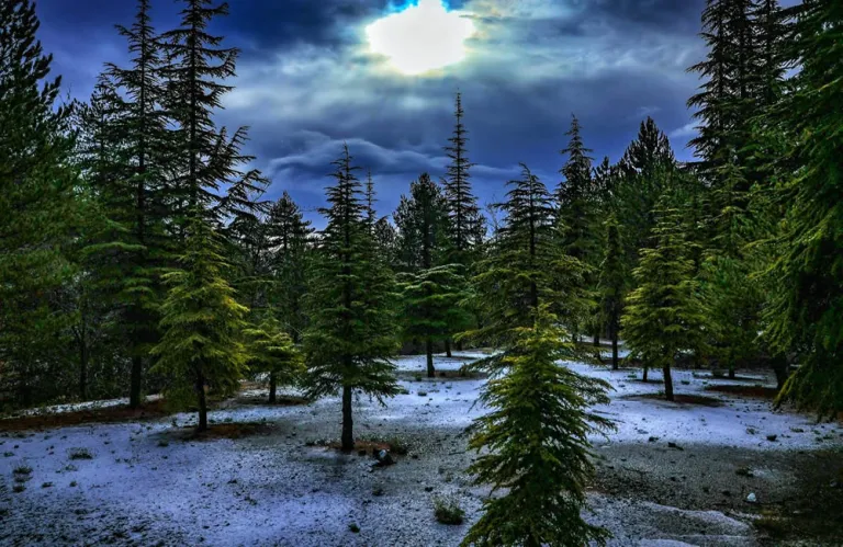 Ο Byron πιθανόν να φέρει χιόνια στο Τρόοδος: Αναβαθμίζεται σε πορτοκαλί η προειδοποίηση της Μετεωρολογίας - Ισχυρές καταιγίδες και κίνδυνος για πλημμύρες