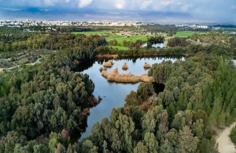 Κλείνουν «παράθυρα» παρανομιών στο Πάρκο Αθαλάσσας - Τοποθετείται στηθαίο τριών χιλιομέτρων