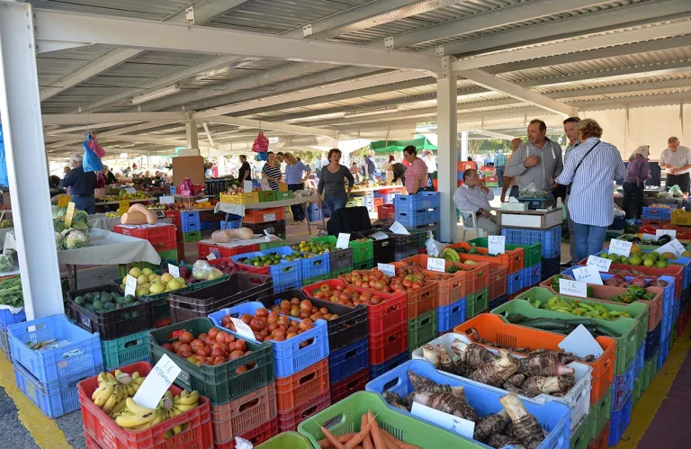 Σε ισχύ η νέα νομοθεσία για ποιοτικό έλεγχο γεωργικών προϊόντων – Έως 31 Ιανουαρίου οι αιτήσεις για τα νέα Μητρώα