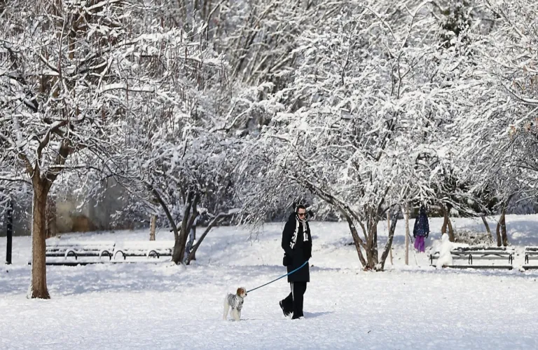 Μαγευτικά βίντεο: Ντύθηκε στα... λευκά η Νέα Υόρκη - Από το  Central Park μέχρι το Manhatan