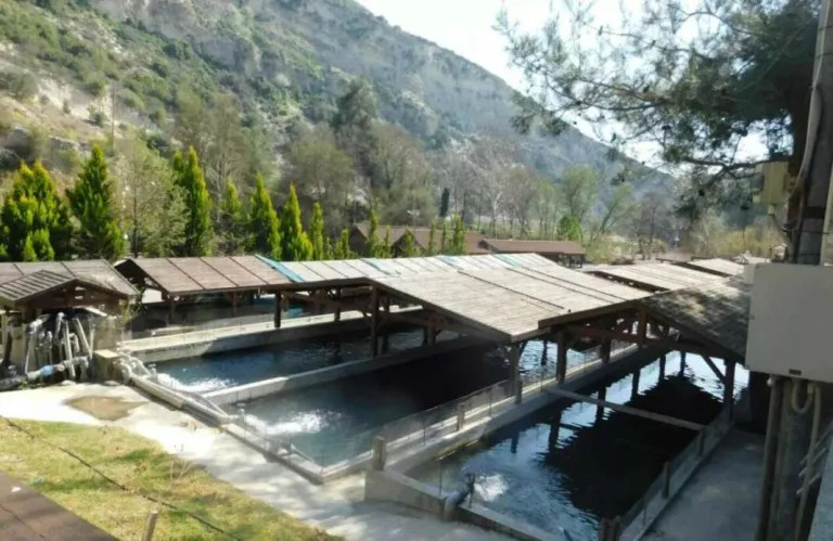 Δήλωναν ότι η Τριμίκλινη είναι στην... Πάφο - Απροβίβαστο στη γεωγραφία για δημόσιους υπαλλήλους