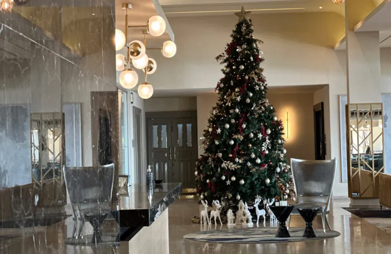 Royal Apollonia: Γιορτινές στιγμές στην καρδιά της Λεμεσού