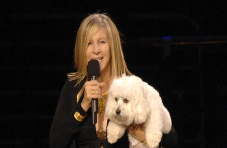 Από τη Μπάρμπρα Στρέιζαντ στον Τομ Μπρέιντι: Η κλωνοποίηση σκύλων γίνεται βιομηχανία δισεκατομμυρίων