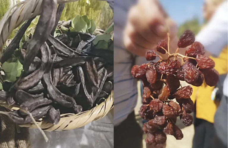 Η στήριξη του πρωτογενούς τομέα είναι ζήτημα εθνικής ευθύνης