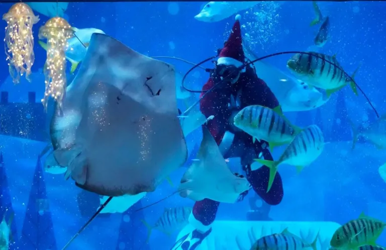 Από την Κύπρο, μέχρι τη Βραζιλία: «Υποβρύχιοι» Άη Βασίληδες στέλνουν από τον βυθό ευχές