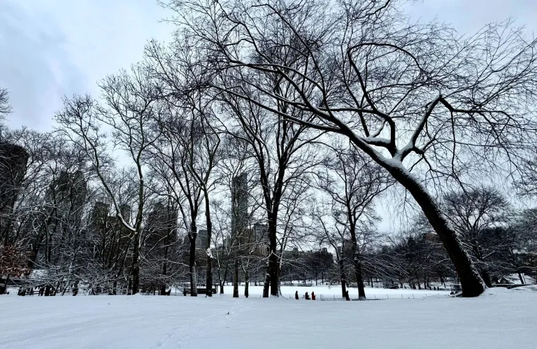 New York City Paralyzed by Heavy Snowstorm