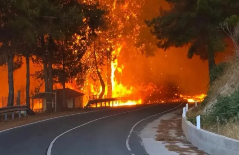 Πέντε φωτιές σε μία ώρα στην Αρχιμανδρίτα - «Η βροχή απέτρεψε τα χειρότερα»
