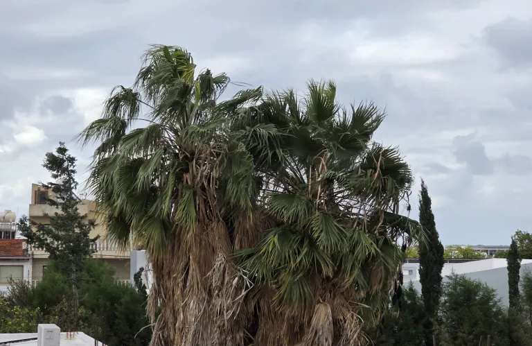 Σε επιφυλακή λόγω καιρού, καμιά ζημιά μέχρι στιγμής, λέει ο Πρόεδρος ΕΟΑ Πάφου