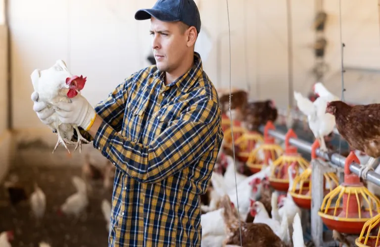 Τι σημαίνει η Mercosur για την Κύπρο – Επί τάπητος ο αθέμιτος ανταγωνισμός, η ασφάλεια τροφίμων και ο κίνδυνος για το χαλούμι