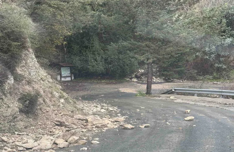 Landslides in Miliou, Paphos Prompt Immediate Response