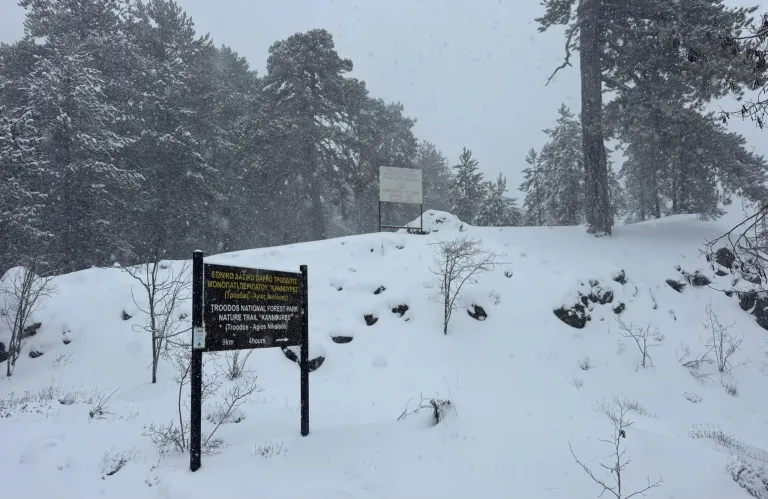 Σε εκχιονισμό δρόμων προχωρεί το Τμήμα Δασών - Έκλεισαν τα μονοπάτια της φύσης στο Τρόοδος (φωτογραφίες+βίντεο)