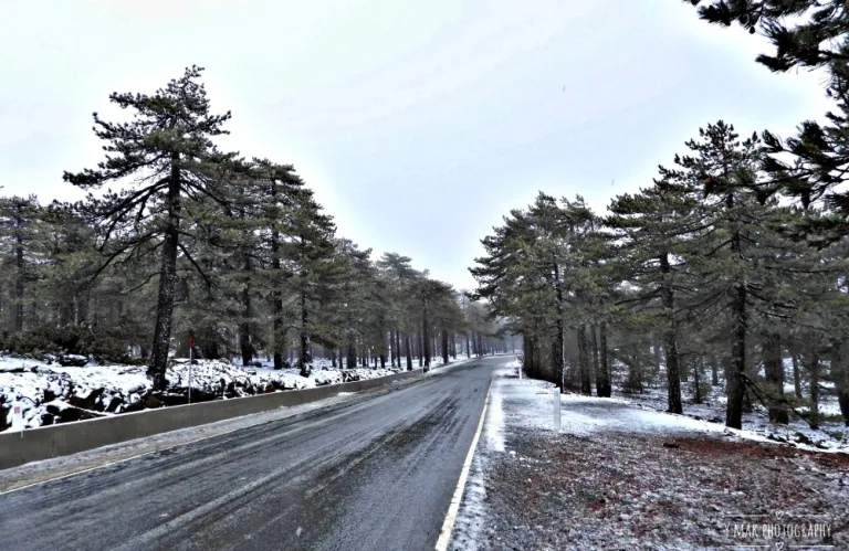 Χειμωνιάτικο σκηνικό στο Τρόοδος - Μόνο με 4x4 ή με αντιολισθητικές αλυσίδες από Πλατεία μέχρι Όλυμπο