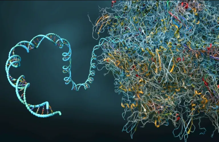 Researchers Create 'Time Capsules' for Cells