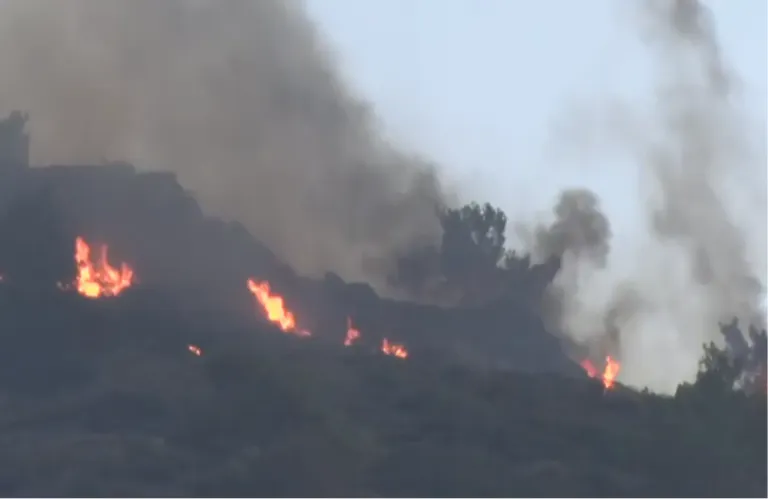 Τραγωδία στο Μένοικο - Φωτιά αφάνισε πάνω από 1.000 νεογέννητα αιγοπρόβατα