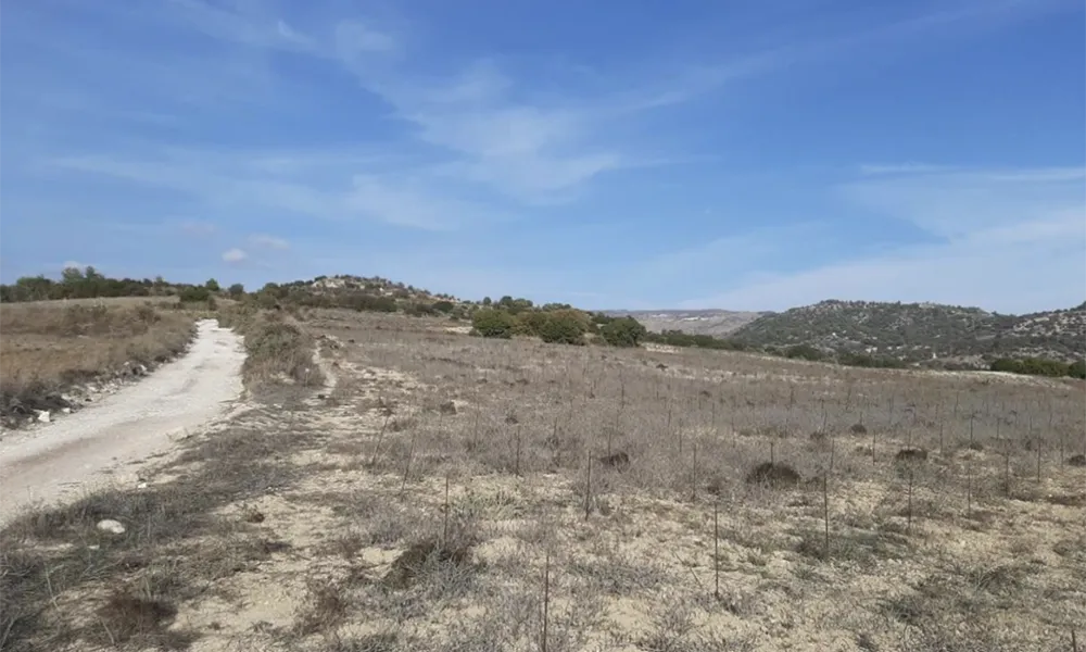 Ολοκληρώθηκε η 7η ερευνητική περίοδος του Πανεπιστημίου Γκρατς στην Αμαργέτη Πάφου