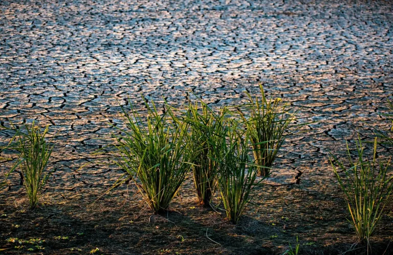 UN Warns of 'Global Water Bankruptcy' Era