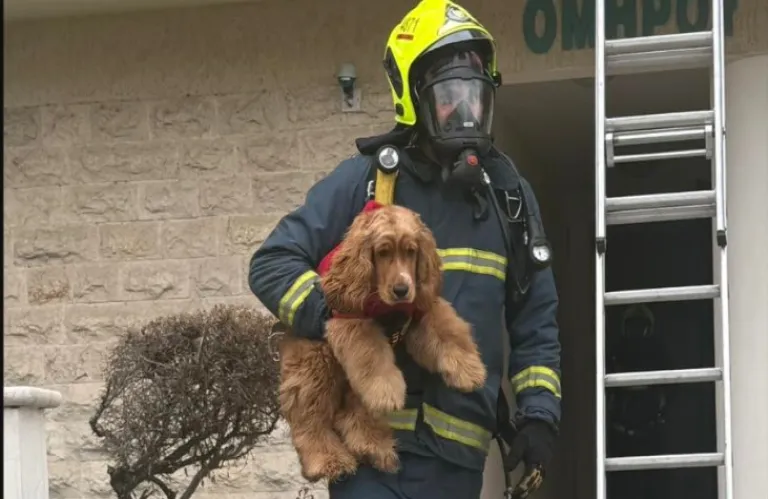 Πυροσβέστης σώζει σκυλάκι από τις φλόγες στην Λάρνακα - Η φωτογραφία που κάνει τον γύρο του διαδικτύου (φώτο)
