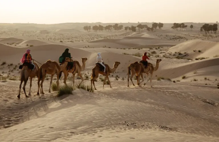 Σαουδική Αραβία: Γιατί οι καμήλες θα αποκτήσουν διαβατήρια