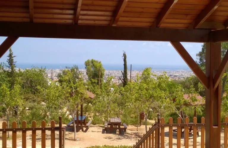 Ατασθαλίες στην εκμίσθωση δασικής γης- «Τρύπες» σε συμβάσεις και περιβαλλοντικό έλεγχο