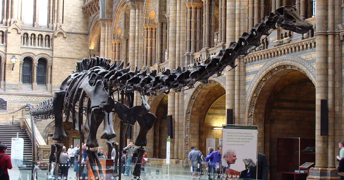 AI Helps Identify Which Dinosaurs Left Fossilised Footprints