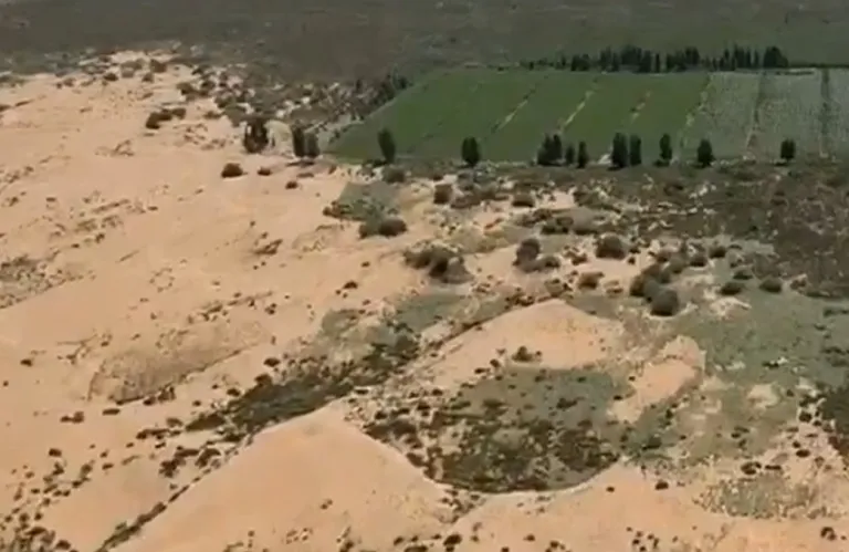 China's Tree-Planting Project to Combat Desertification Dries Up Water Resources