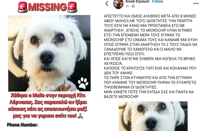 Απίστευτο κι όμως αληθινό! Ο Μάιλο ο σκύλος που κινητοποιήσε την Λάρνακα μετά από έξι μήνες, εντοπίστηκε στη Λευκωσία