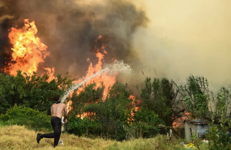 Μεσογειακά δάση: Ποια είναι η μεγαλύτερη απειλή που προκαλεί φωτιές