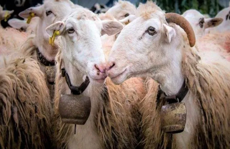 It Was in the Occupied Territories, Not Timbuktu!