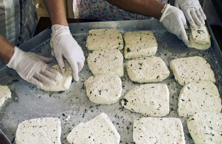 Αφθώδης πυρετός: Πόσο επηρεάζεται η παραγωγή χαλλουμιού -  «Διαχειρίσιμη η κατάσταση»