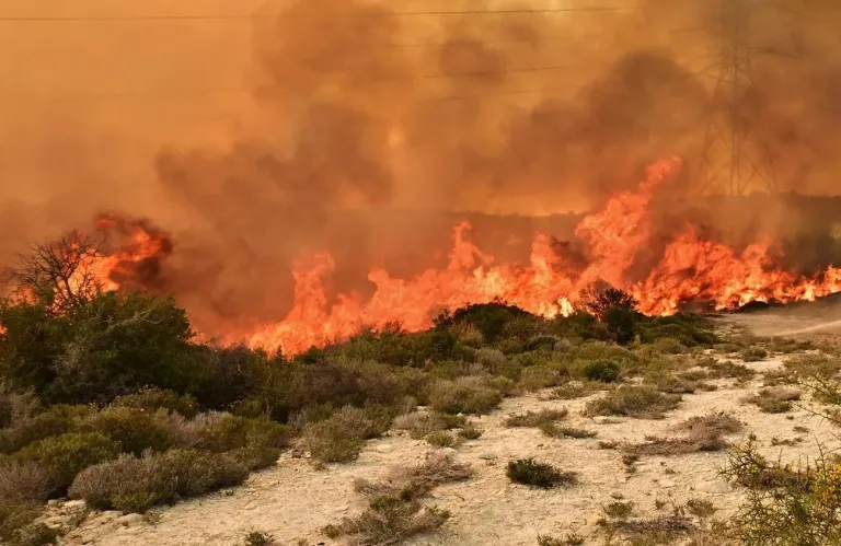Πυροσβεστική: Πάνω από το 94% των πυρκαγιών στην Κύπρο οφείλεται στον ανθρώπινο παράγοντα
