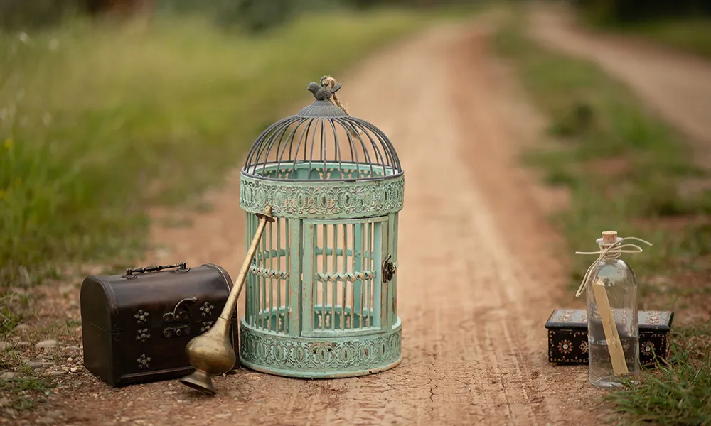 «Λόγια που Ανθίζουν» – Τριήμερο Περιβαλλοντισμού στο Μιτσερό