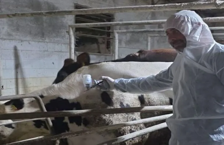 Αναμενόμενο το νέο κρούσμα, λένε οι Κτηνιατρικές Υπηρεσίες – «Όχι» Ευρωπαϊκής Επιτροπής σε φραγμό στις μαζικές θανατώσεις