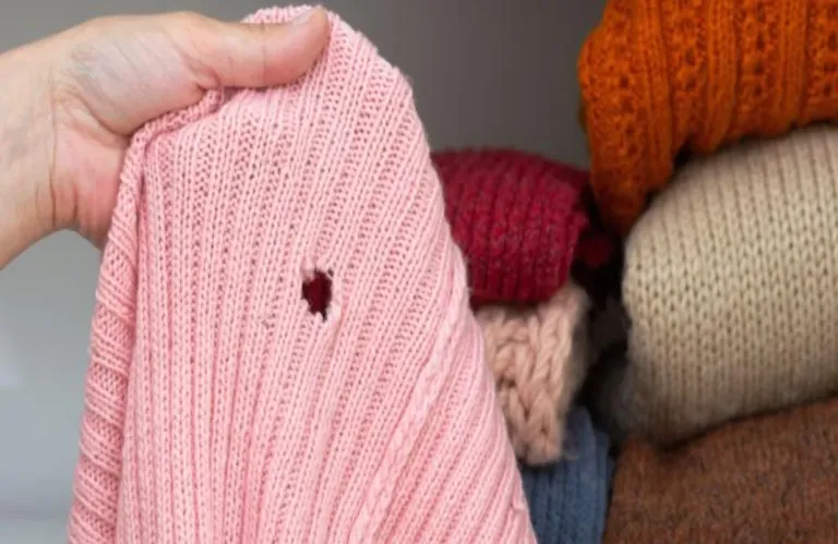 Το λάθος που κάνουμε και γεμίζει η ντουλάπα σκόρους: Τα σημεία που κρύβονται και οι φυσικοί τρόποι για να τους διώξουμε