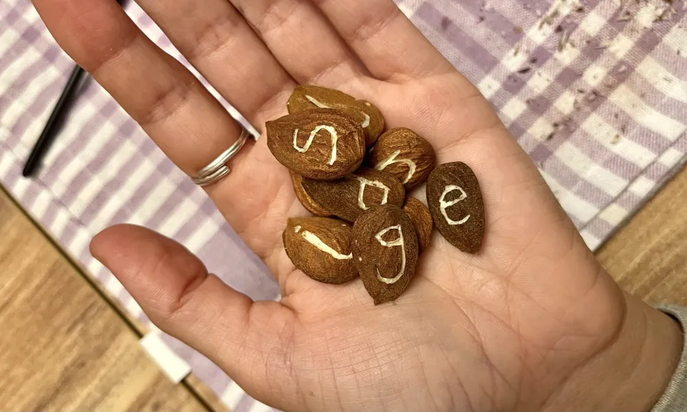 Post thumbnail or placeholder