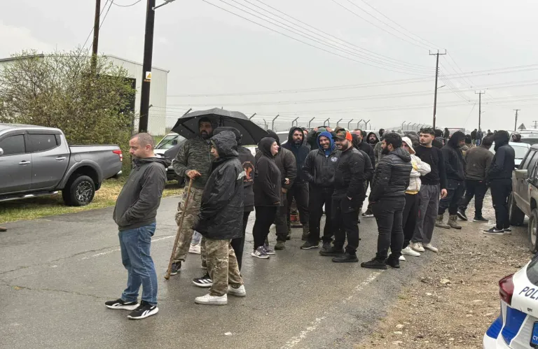 Συγκέντρωση κτηνοτρόφων στην Ορόκλινη για να αποτρέψουν θανάτωση ζώων - Τοποθέτησαν φέρετρο στην οροφή οχήματος