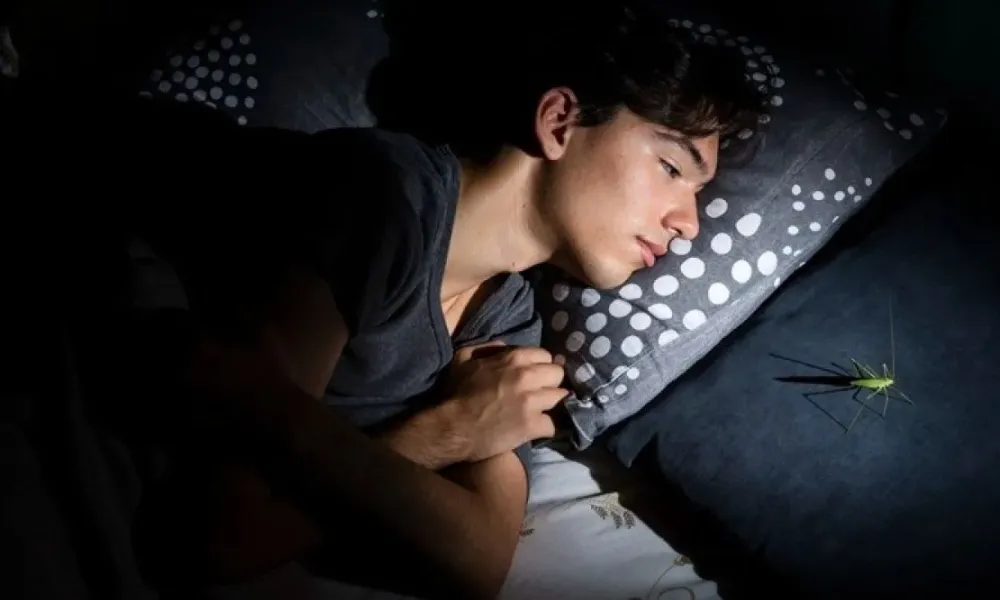 Προβλήματα ενηλικίωσης και κλιματική κρίση στο 28o Φεστιβάλ Ντοκιμαντέρ Θεσσαλονίκης