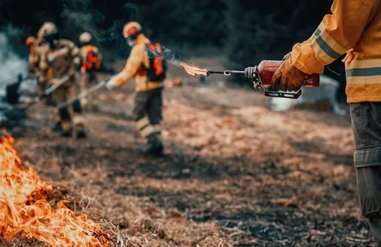 Controlled Burning to be Implemented by the Forestry Department in Machairas Forest