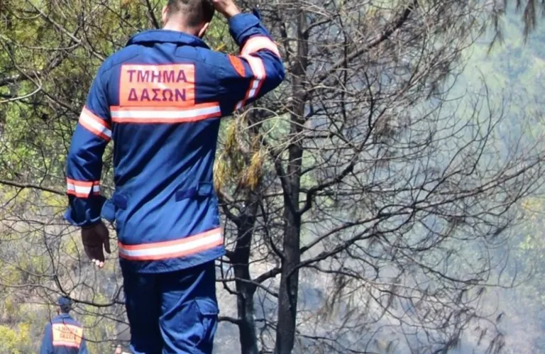 Τμήμα Δασών: Εφαρμογή ελεγχόμενης καύσης στις παρυφές του Δάσους Μαχαιρά