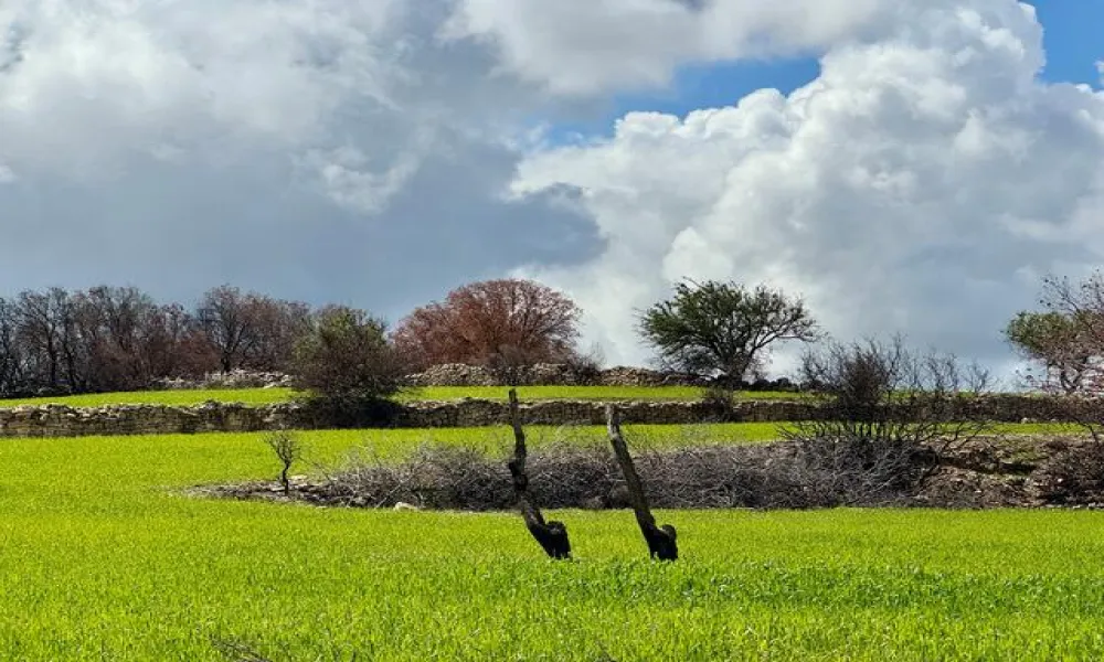 Μια εικόνα, χίλιες λέξεις στην ορεινή Λεμεσό