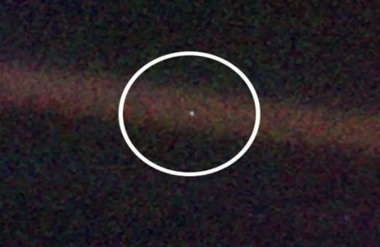 Στη Γη που ευδοκιμεί η ανοησία