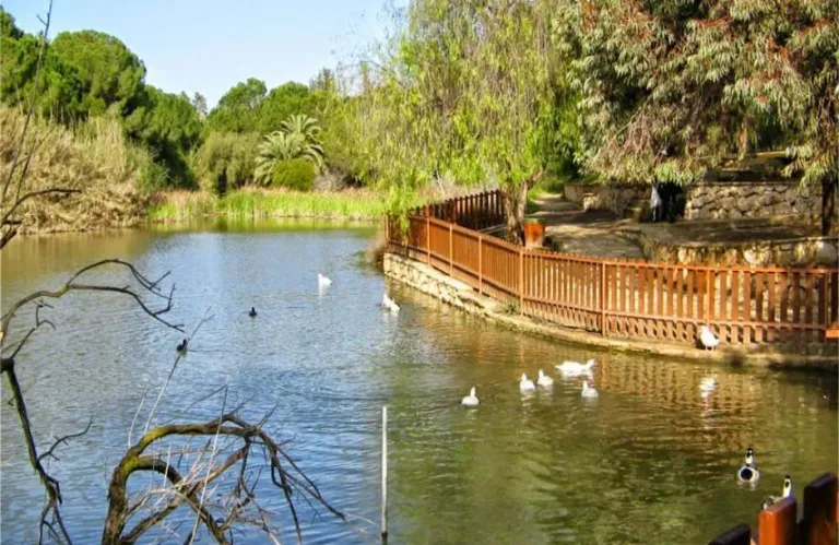 Alert for Dead Fish in Athlassa Lake – Four Departments Investigating the Cause