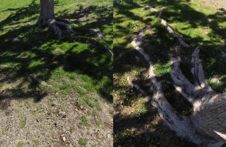 «We Belong to the land»: Το αρχείο της Αριάννα Οικονόμου ως ζωντανή μεταβαλλόμενη δομή