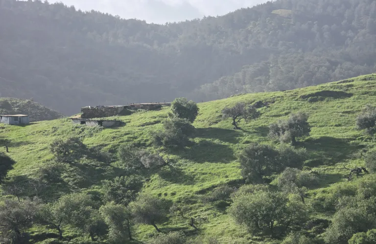 Η Βουκολική ζωή στον Πύργο Τηλλυρίας και οι ποιητές της