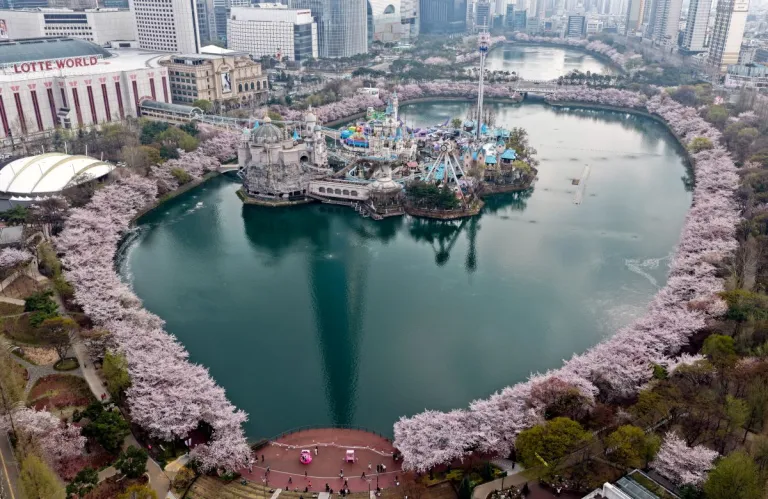 Όλα ροζ στη Σεούλ