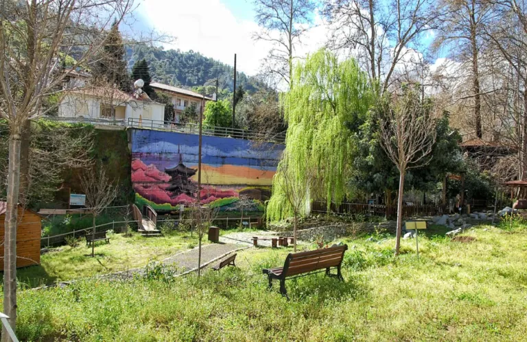 Η Μαγεία των Sakura επιστρέφει στον Κάμπο -  Το πιο ξεχωριστό Ανοιξιάτικο Φεστιβάλ της Κύπρου για 3η χρονιά