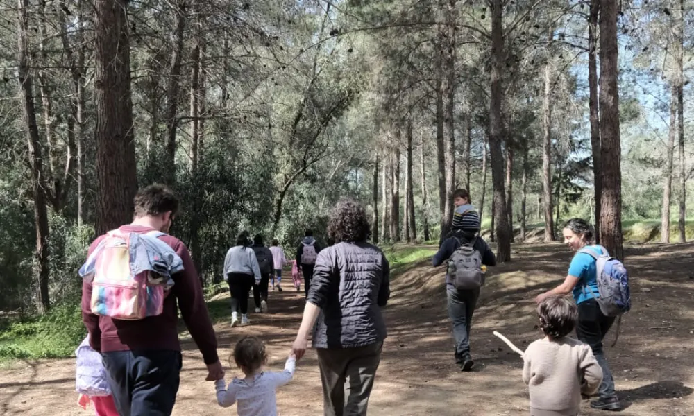 GREEN STEPS 2026: Παράσταση χορού και ζωντανής μουσικής για παιδιά και οικογένειες