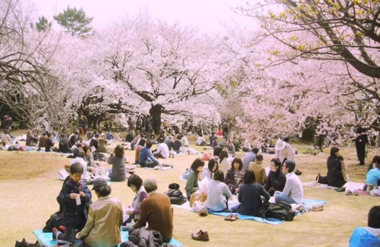 Κάντε hanami όπως οι Ιάπωνες - Η απλή συνήθεια που μειώνει το στρες και ηρεμεί το μυαλό